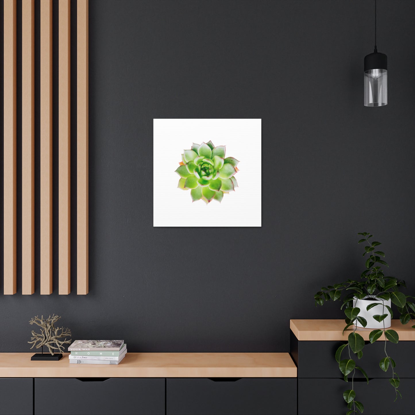 Echeveria Canvas Gallery Wraps