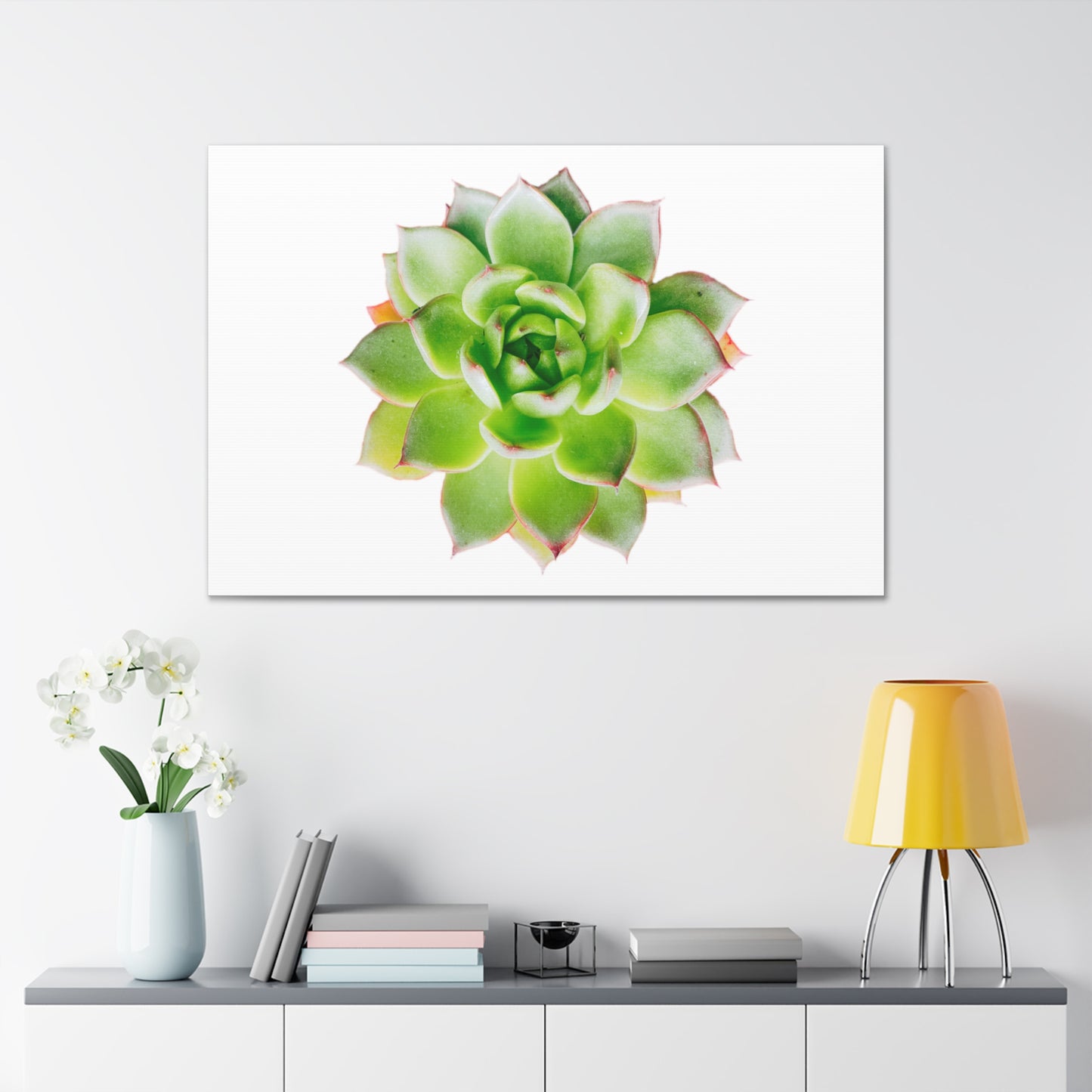 Echeveria Canvas Gallery Wraps