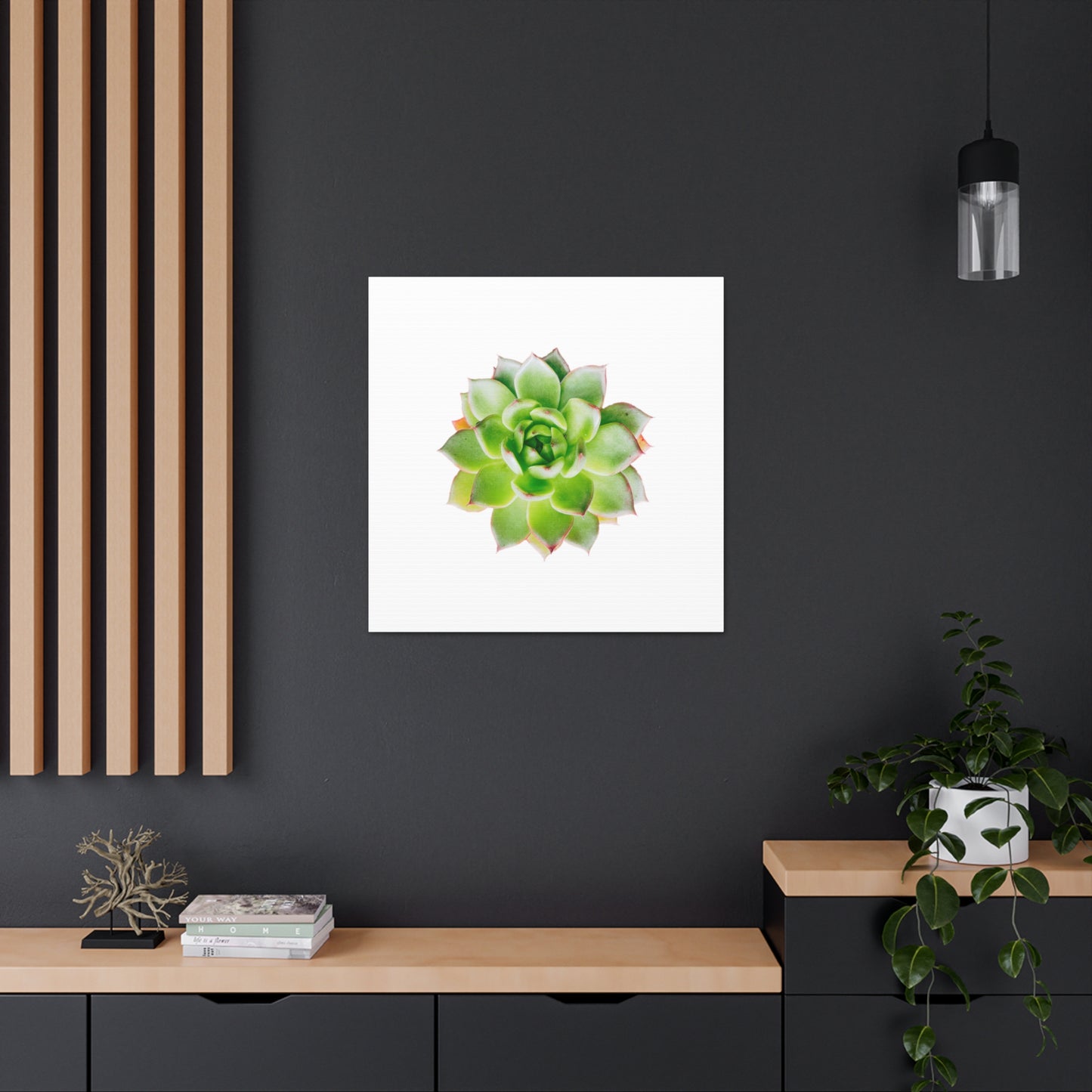 Echeveria Canvas Gallery Wraps