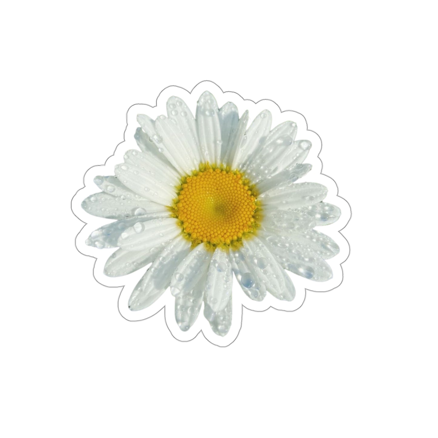 Daisy Stickers