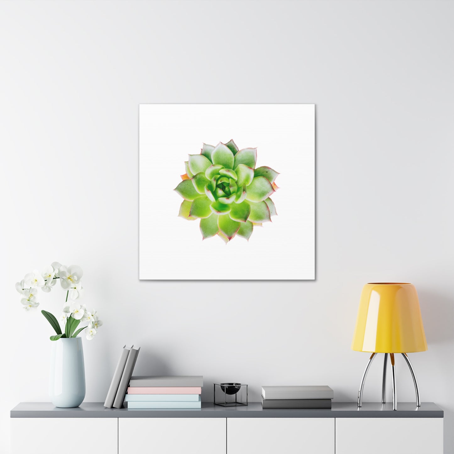 Echeveria Canvas Gallery Wraps