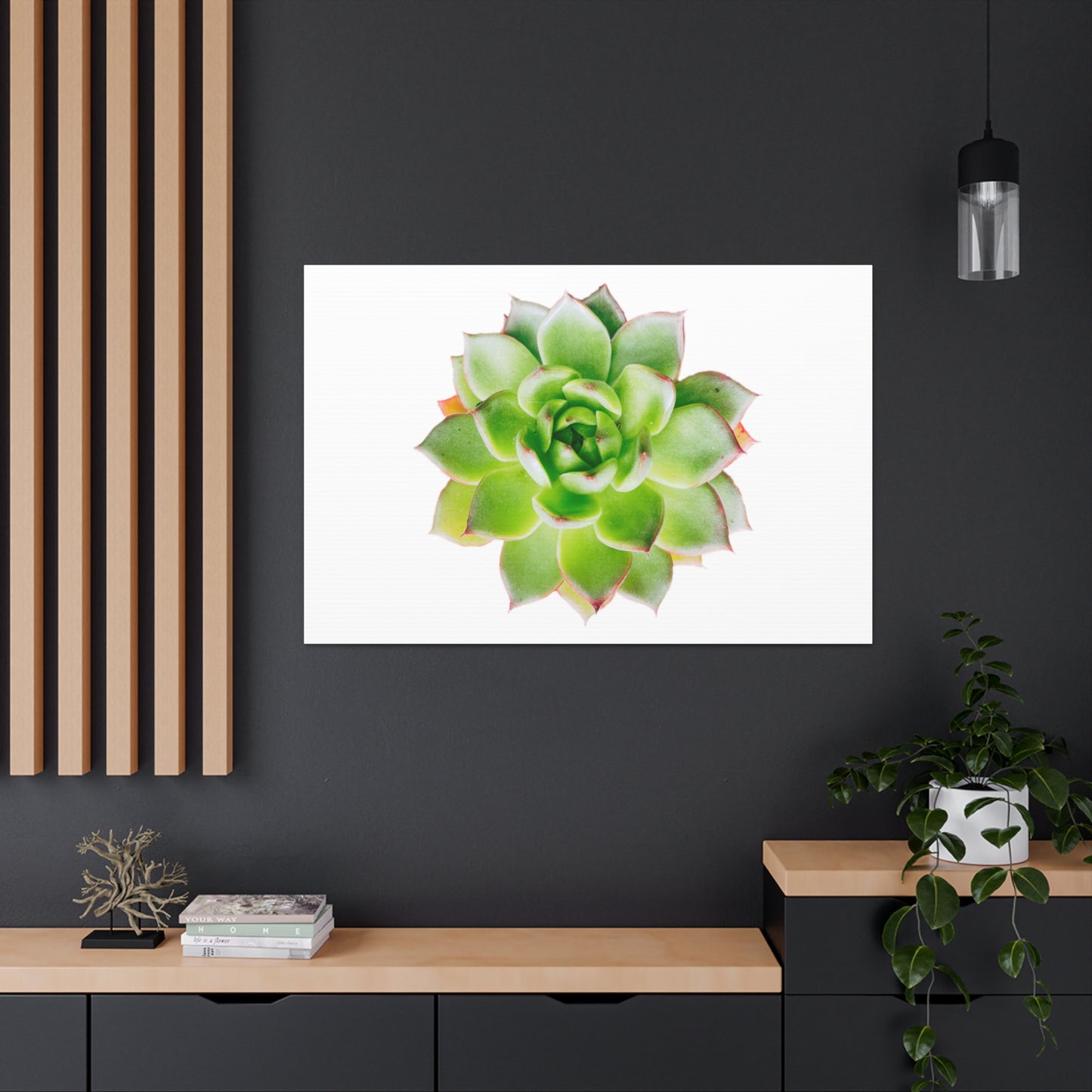 Echeveria Canvas Gallery Wraps